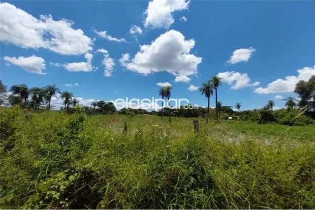Hermoso terreno Luque-limpio - zona aguapey, foto 5