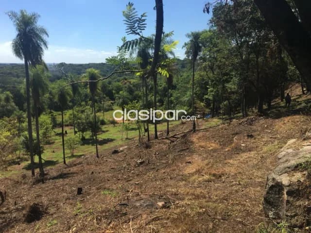 Terreno en San Bernardino cód 3393, foto 5
