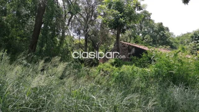 🔊 atencion remato terreno en el centro de San Bernardino, foto 3