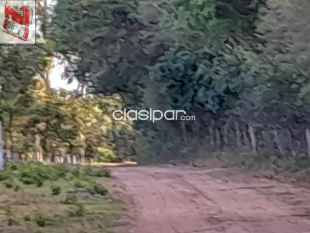 Propiedad en nueva colombia, foto 3