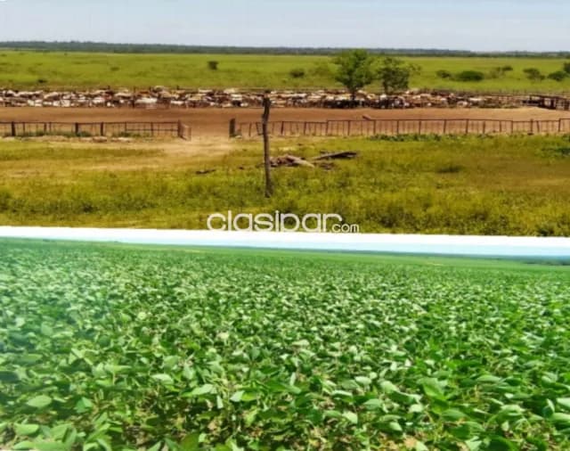 🚨vendo campo agroganadero listo p/ producir en caaguazú🚨, foto 2
