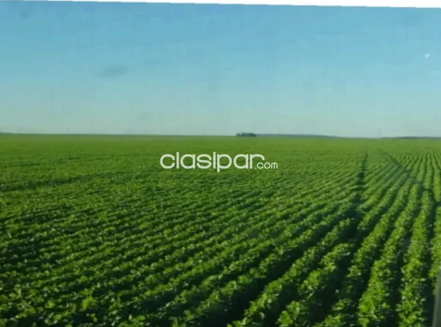 🚨vendo campo agroganadero listo p/ producir en caaguazú🚨, foto 3