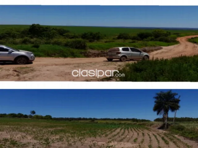 🚨vendo campo agroganadero listo p/ producir en caaguazú🚨, foto 4