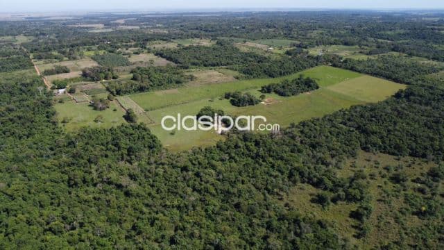 Campo Agrícola/Ganadero en San Pedro del Paraná - 34 Ha