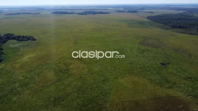 Campo Agrícola/Ganadero en San Pedro del Paraná - 34 Ha, foto 3