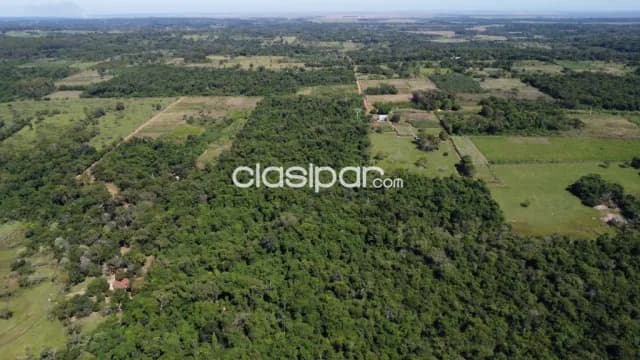 Campo Agrícola/Ganadero en San Pedro del Paraná - 34 Ha, foto 5