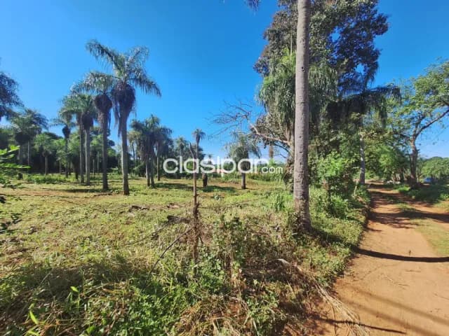Terreno de 2 ha en capiata toledo cañada, foto 3