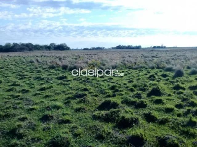 Estancia formada de 1331 hectáreas en tacuaras ñeembucu, foto 4