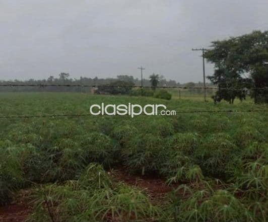 Campo Agrícola/Industrial en Minga Guazú sobre Ruta - 60 Ha