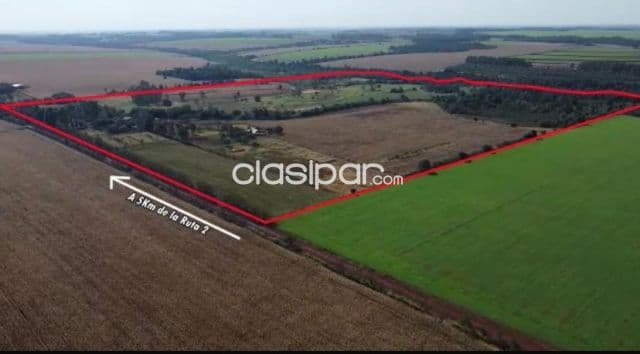 Campo Agrícola/Ganadero Mecanizado en Yguazú - 80 Ha