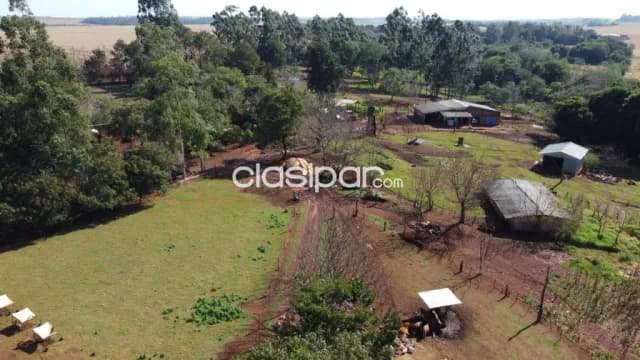 Campo Agrícola/Ganadero Mecanizado en Yguazú - 80 Ha, foto 3
