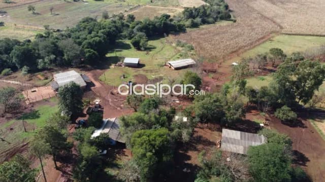 Campo Agrícola/Ganadero Mecanizado en Yguazú - 80 Ha, foto 5