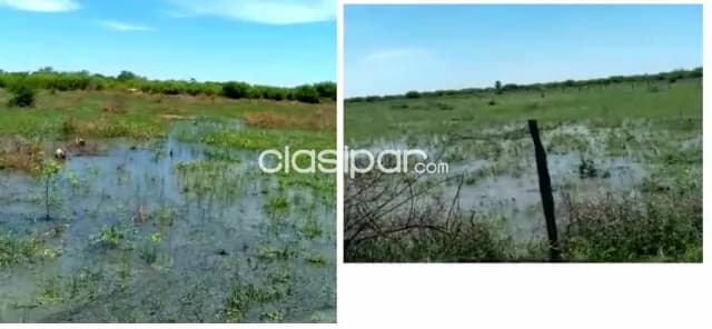 Alto paraguay - zona tte. Martinez - estancia 2.550 has, foto 3