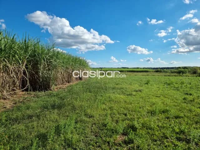 Propiedad de 5 Hectáreas ideal para inversionistas inmobiliarias loteamientos etc📍 — foto 2