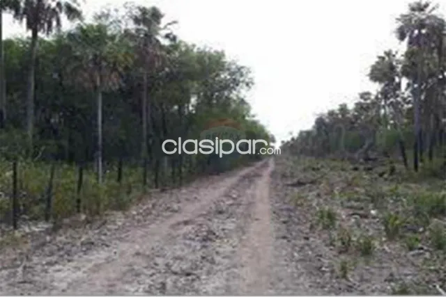 Estancia 2.387 has chaco - pdte hayes s/ruta nª.9 a 210 km de asuncion linda c/rio n — foto 2