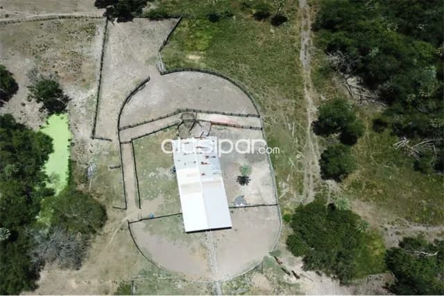 En Venta 2.387 Hectáreas en Presidente Hayes — foto 3