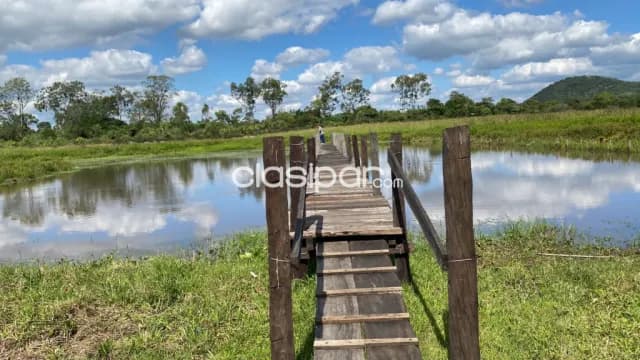Establecimiento de 94 has en paraguarí, foto 3