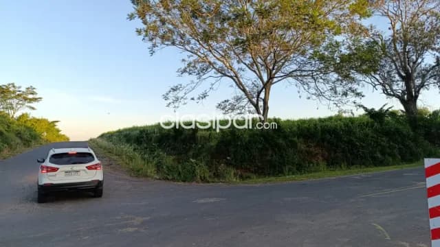 Increible propiedad de 16 ha en nueva italia...!!!, foto 4