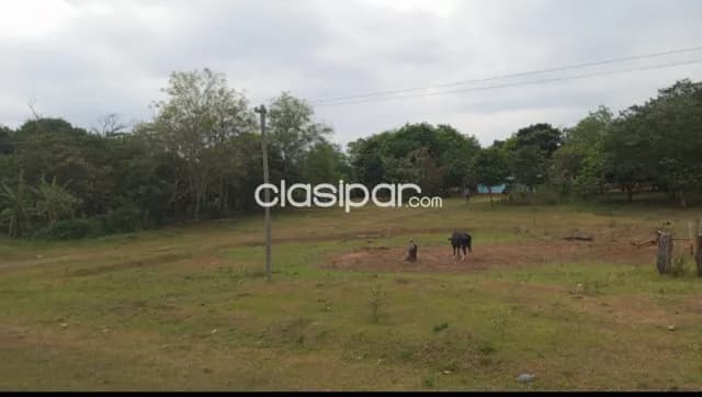 Hermosa propiedad de 10 htas. En sta. Rosa del aguaray s/ ruta asfaltada!!! — foto 2