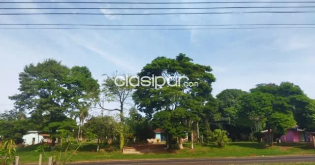 Hermosa propiedad de 10 htas. En sta. Rosa del aguaray s/ ruta asfaltada!!! — foto 3
