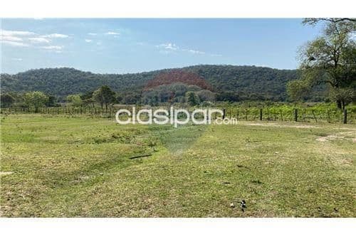 Estancia formada de 1.613 has en caapucu!! — foto 1