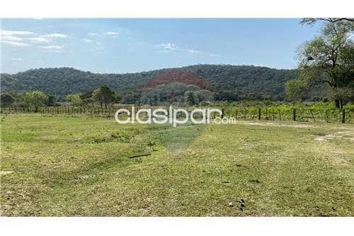 Estancia formada de 1.613 has en caapucu!! — foto 2
