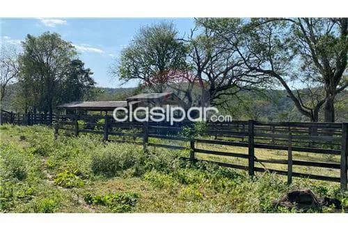 Estancia formada de 1.613 has en caapucu!! — foto 4
