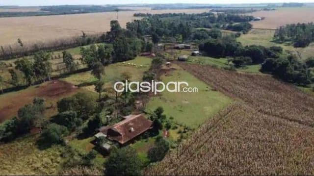 Yguazú, alto parana: 80 has, mecanizadas, pastura natural, 15.000 usd, foto 1