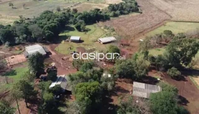Yguazú, alto parana: 80 has, mecanizadas, pastura natural, 15.000 usd, foto 3