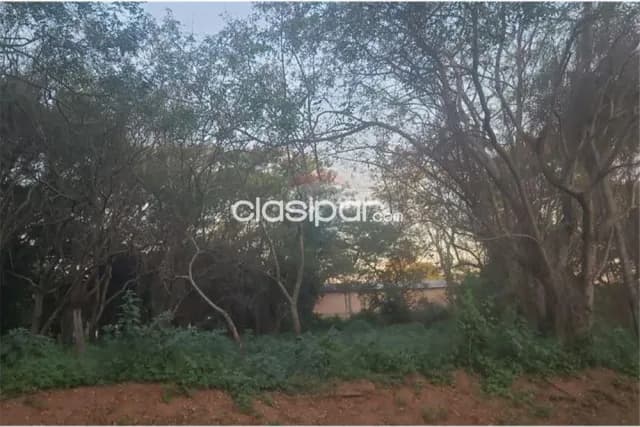 Oferta terreno 4812 m2- Luque isla bogado a mtrs de avda.fotografos del chaco — foto 4