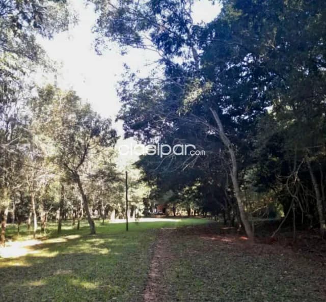 Campo Agrícola/Ganadero en Pastoreo - 40 Ha — foto 5