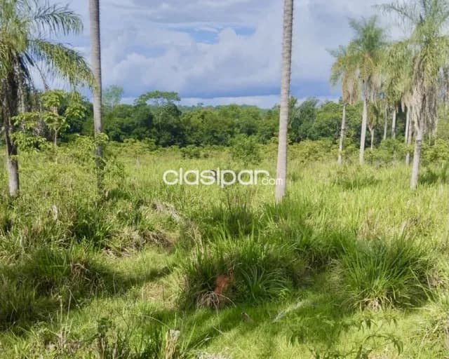 Campo Agrícola/Ganadero en Tobati - 91 Ha — foto 3