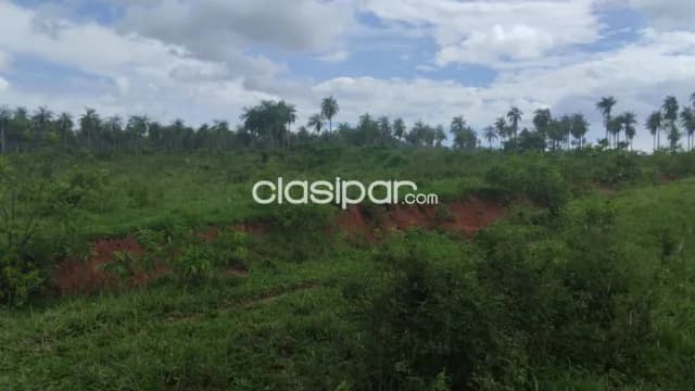 Campo Agrícola/Ganadero en Tobati - 91 Ha — foto 5