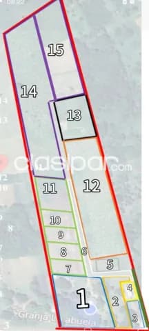 FOR SALE - VENDO 7 Hectáreas GRANJA FORMADA - Ciudad de Concepción Zona MOPC — foto 3