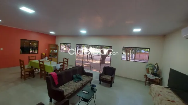 FOR SALE - VENDO 7 Hectáreas GRANJA FORMADA - Ciudad de Concepción Zona MOPC — foto 4