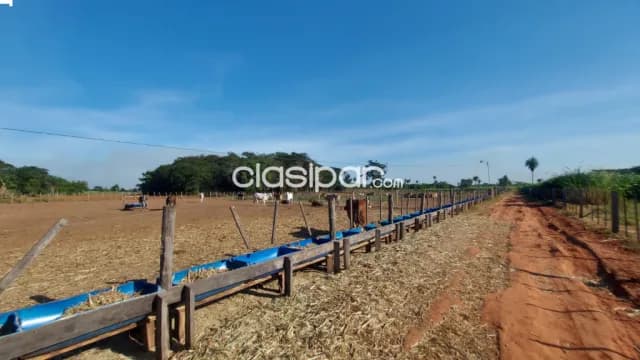 FOR SALE - VENDO 7 Hectáreas GRANJA FORMADA - Ciudad de Concepción Zona MOPC — foto 2