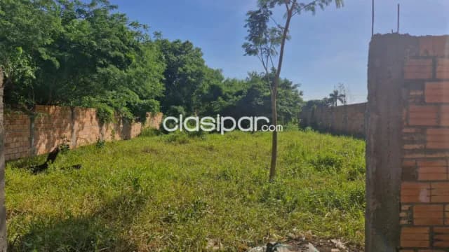 Terreno en Luque sil — foto 2