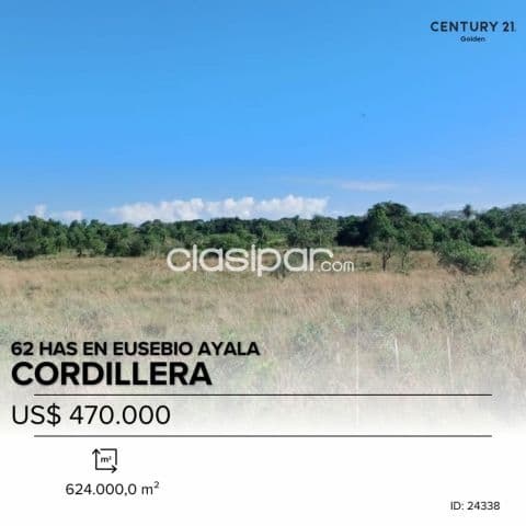 En venta 62 hectáreas sobre Ruta en Eusebio Ayala, foto 1