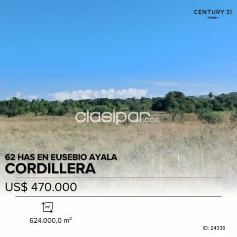 En venta 62 hectáreas sobre Ruta en Eusebio Ayala, foto 2