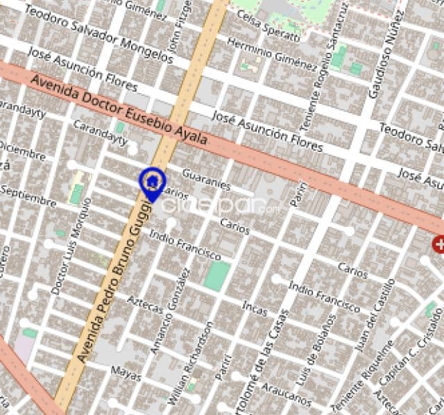 Terreno con casita sobre Avenida Bruno Guggiari 387 m2 (9 X 45)