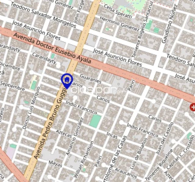 Terreno con casita sobre Avenida Bruno Guggiari 387 m2 (9 X 45), foto 2