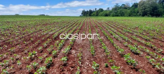 Campo Agrícola Mecanizado en Capitan Meza - 63 Ha — foto 2