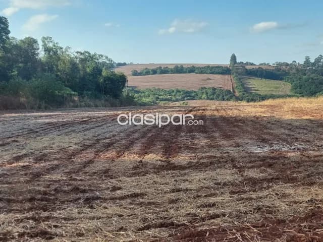Campo Agrícola Mecanizado en Capitan Meza - 63 Ha — foto 3