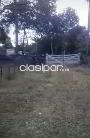 Oferta de 12 y 39 hectareas en loma grande, cordillera...!!! — foto 2