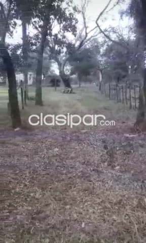 Oferta de 12 y 39 hectareas en loma grande, cordillera...!!! — foto 4