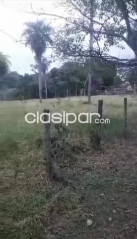 Oferta de 12 y 39 hectareas en loma grande, cordillera...!!! — foto 5