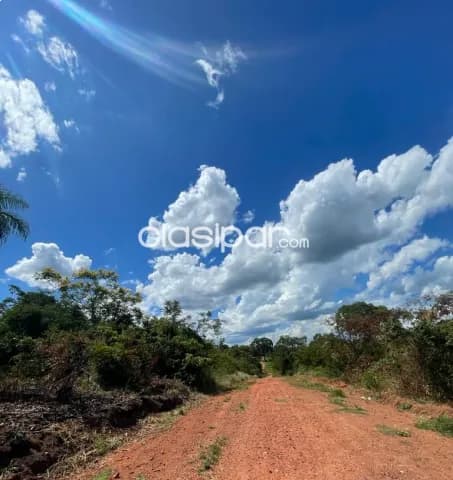 Terrenos en Luque 2.100 m2 (5 lotes), foto 3