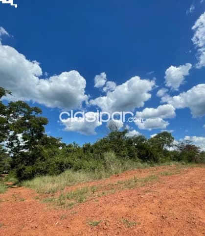 Terrenos en Luque 2.100 m2 (5 lotes), foto 4