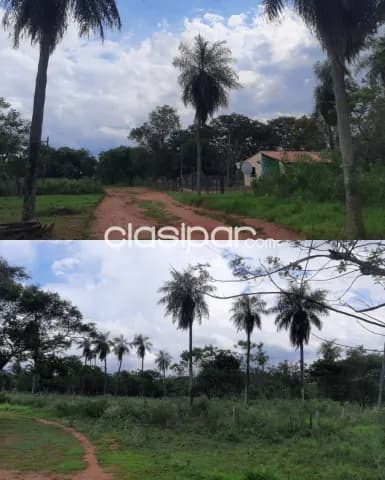 Terreno en Loma Grande — foto 2