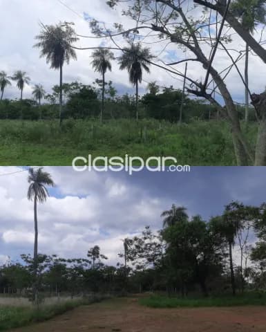 Terreno en Loma Grande — foto 3